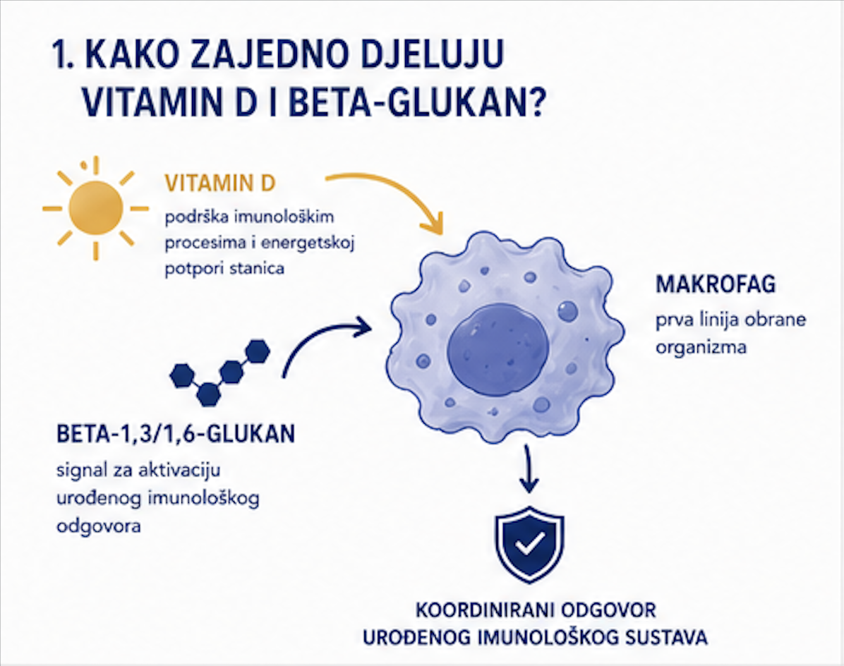 Što se događa kada vitamin D i beta-glukan djeluju zajedno?