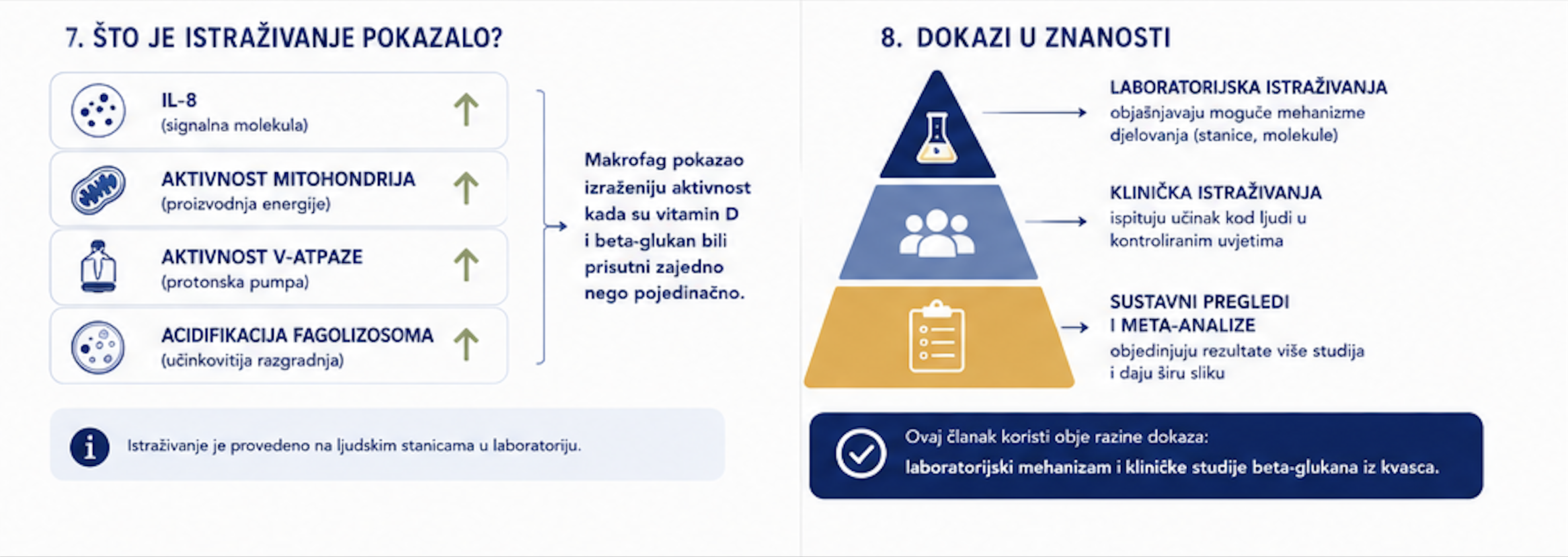 Istraživanje sinergija Vitamina D i Beta glukan